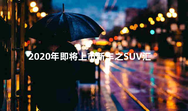 2020即将上市新款suv车 suv车是几座