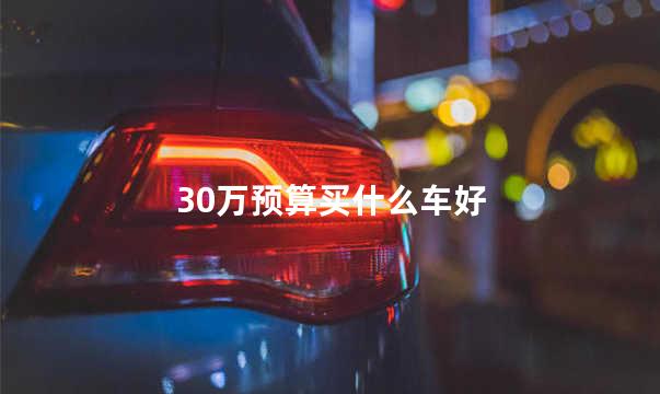 30万预算买什么车好