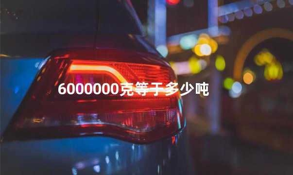 6000000克等于多少吨