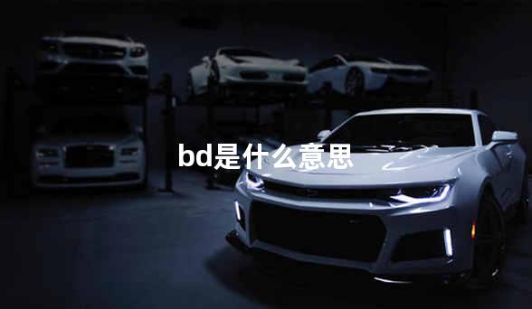 bd是什么意思