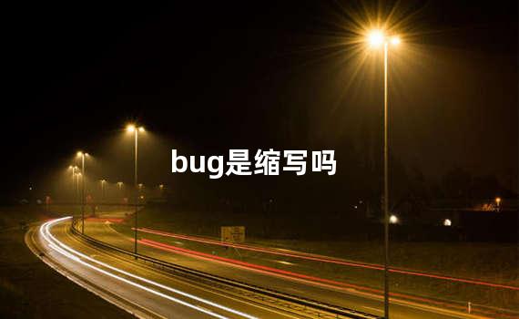bug是缩写吗