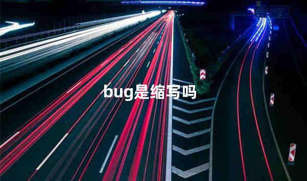 bug是缩写吗