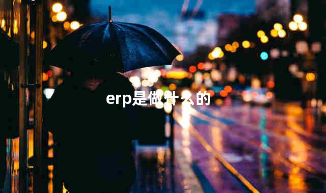 erp是做什么的