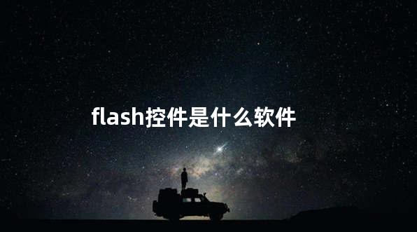 flash控件是什么软件