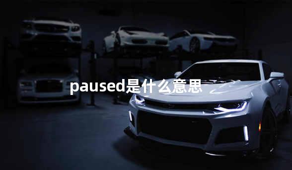 paused是什么意思