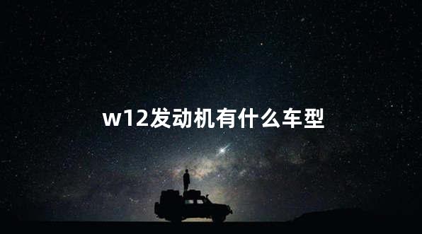 w12发动机有什么车型