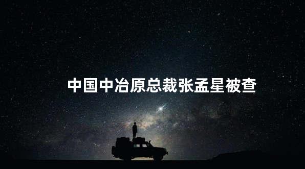 中国中冶原总裁张孟星被查