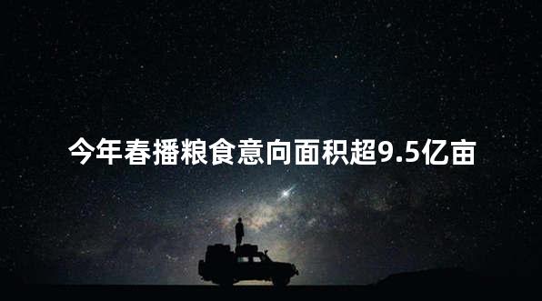 今年春播粮食意向面积超9.5亿亩