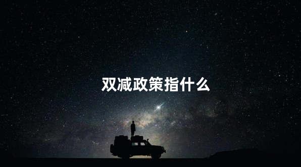 双减政策指什么