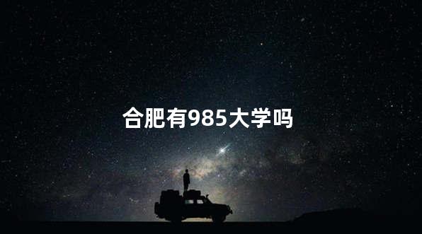 合肥有985大学吗