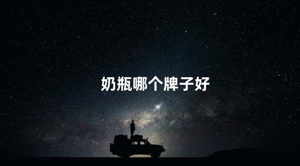 奶瓶哪个牌子好