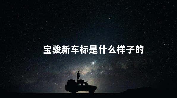 宝骏新车标是什么样子的