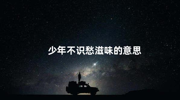 少年不识愁滋味的意思