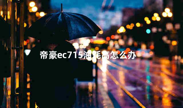 帝豪ec715油耗高怎么办