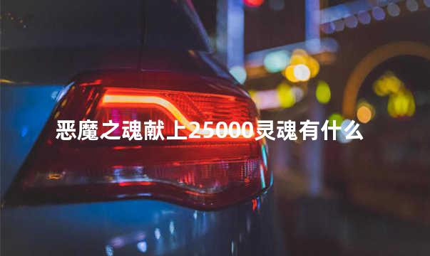 恶魔之魂献上25000灵魂有什么用处