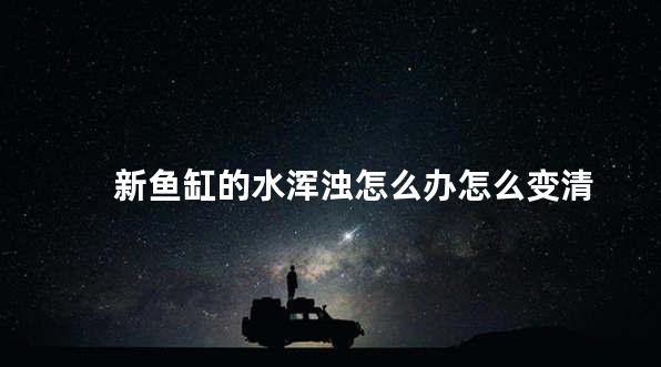 新鱼缸的水浑浊怎么办怎么变清