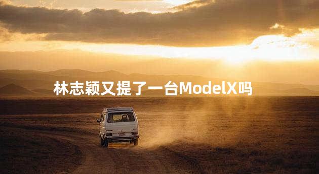 林志颖又提了一台ModelX吗