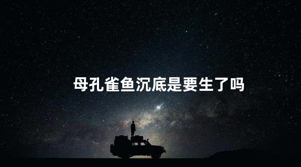 母孔雀鱼沉底是要生了吗