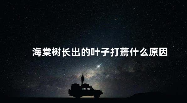 海棠树长出的叶子打蔫什么原因