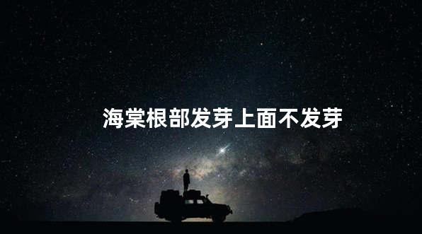 海棠根部发芽上面不发芽