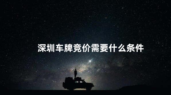 深圳车牌竞价需要什么条件