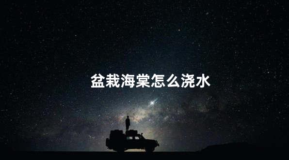 盆栽海棠怎么浇水