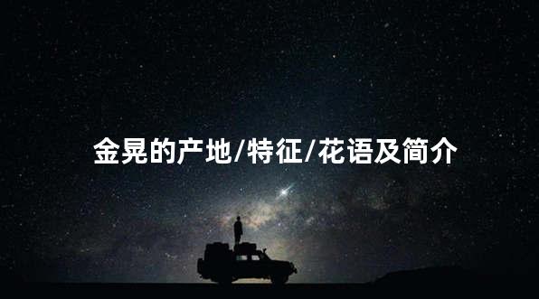 金晃的产地/特征/花语及简介