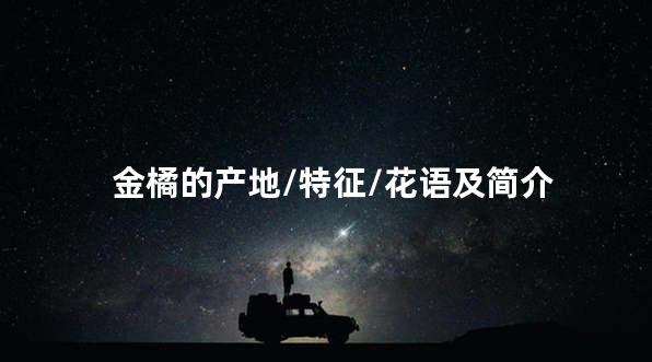 金橘的产地/特征/花语及简介