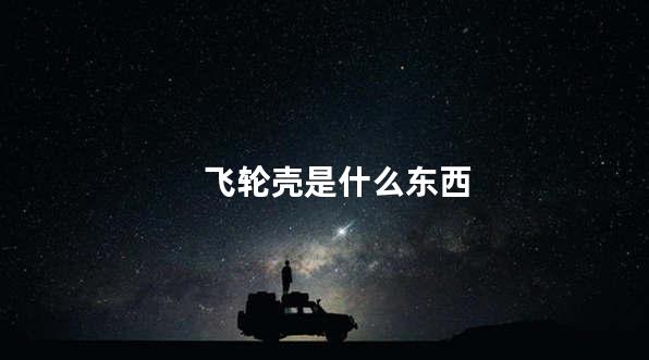 飞轮壳是什么东西