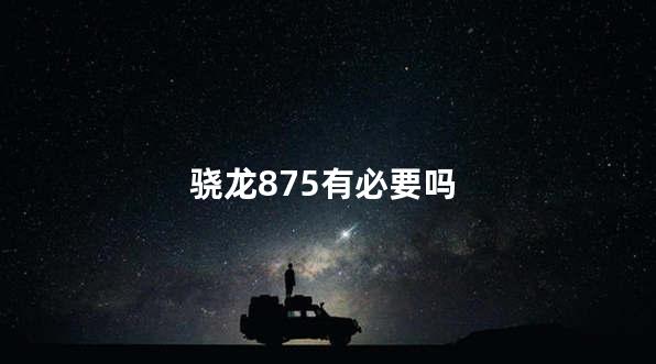 骁龙875有必要吗