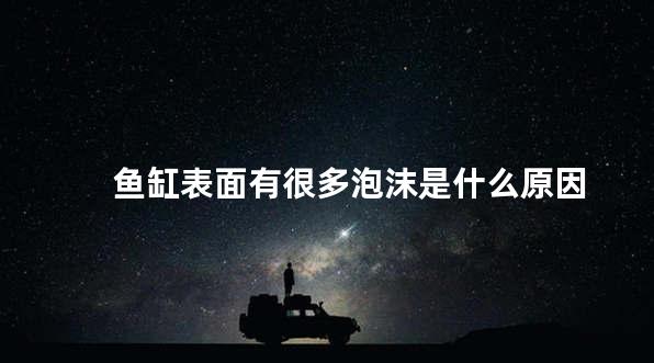 鱼缸表面有很多泡沫是什么原因